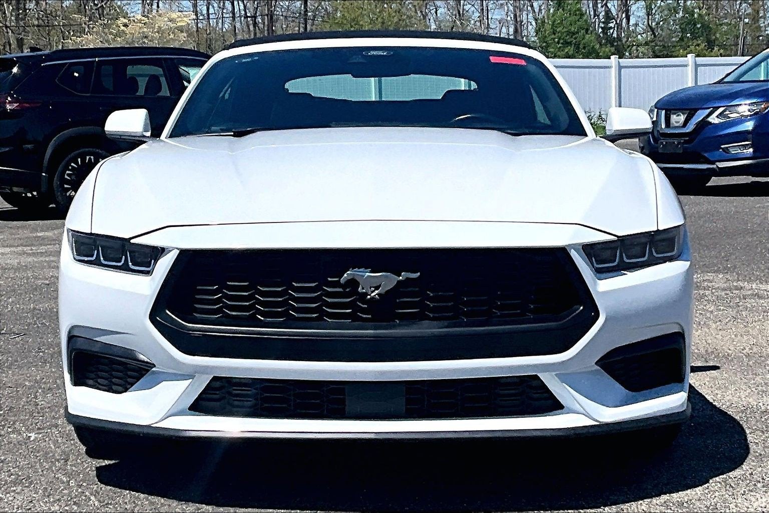 2024 Ford Mustang Eco Premium
