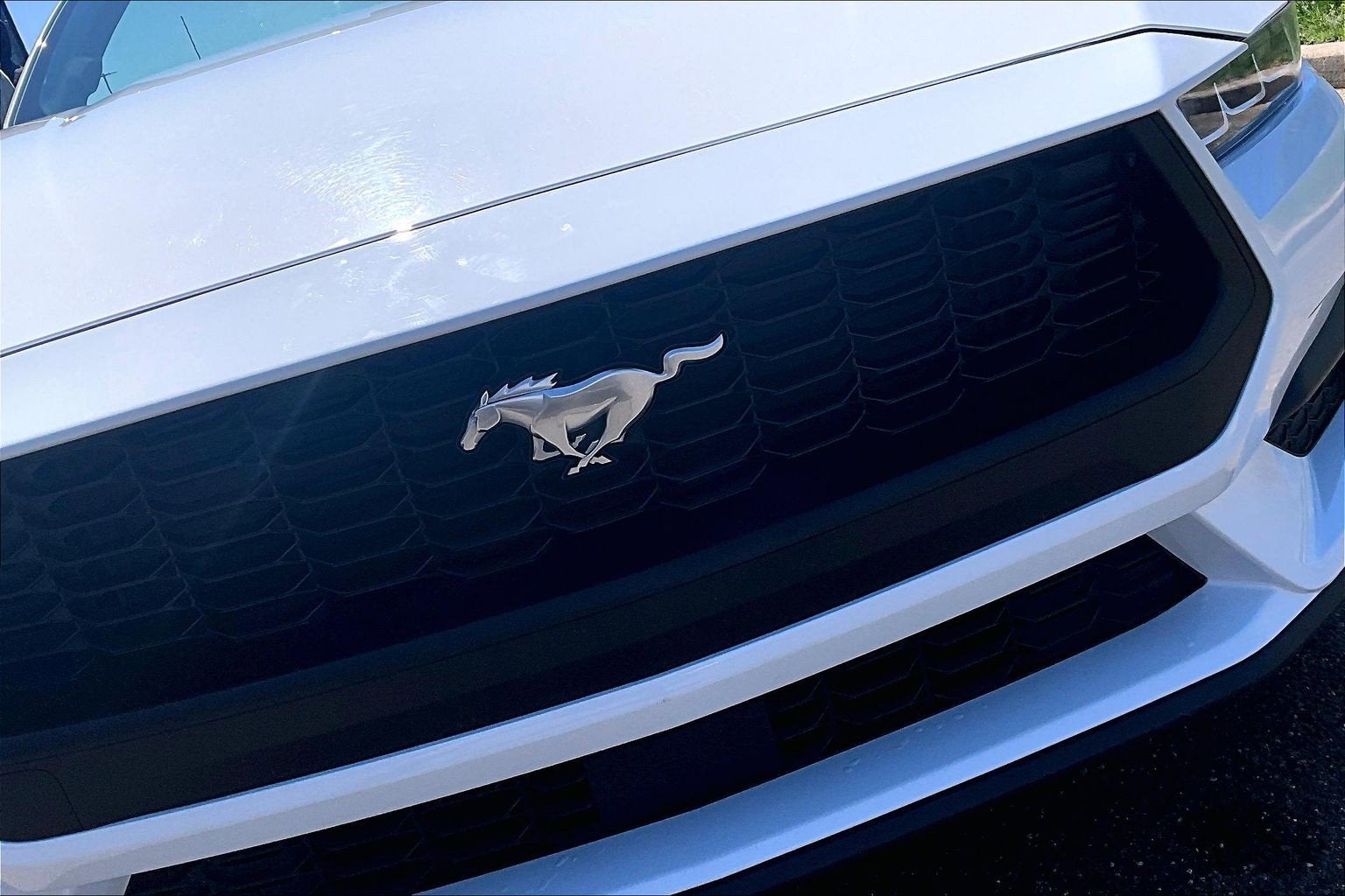 2024 Ford Mustang Eco Premium