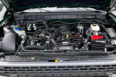 2024 Ford Bronco Everglades